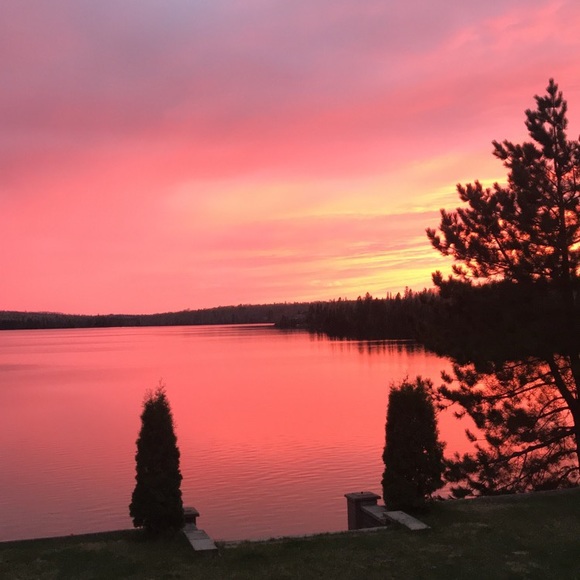 Meet your Posher, David - Picture 1 of 1